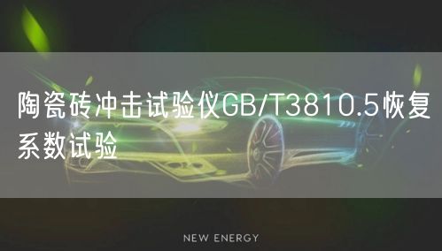 陶瓷磚沖擊試驗儀GB/T3810.5恢復系數試驗(圖1) 陶瓷磚沖擊試驗儀GB/T3810.5恢復系數試驗(圖1)